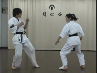 karate. high kick girl